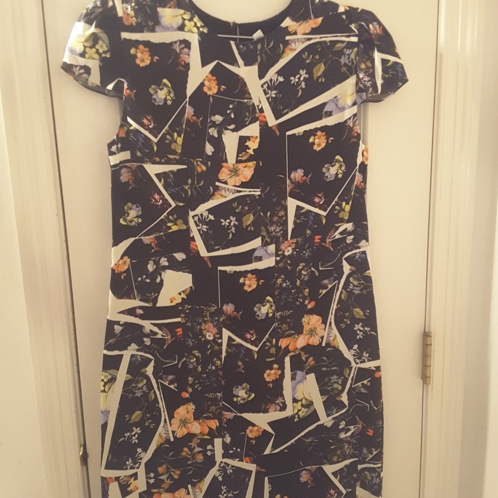 Erdem Silk Print Dress